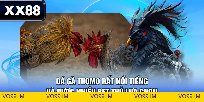 Luật Chơi Đá Gà Thomo Chi Tiết Từ A - Z Cho Tân Thủ