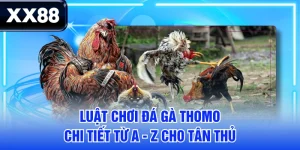 tin tức - xx88senet