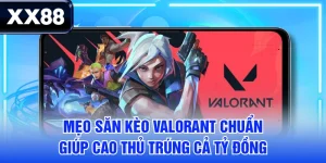 tin tức - xx88senet